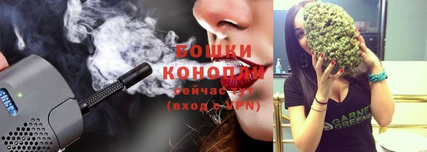 прущие грибы Зеленодольск