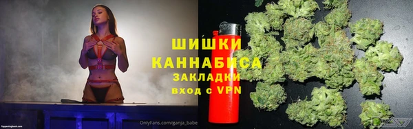 прущие грибы Зеленодольск