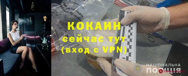 прущие грибы Зеленодольск