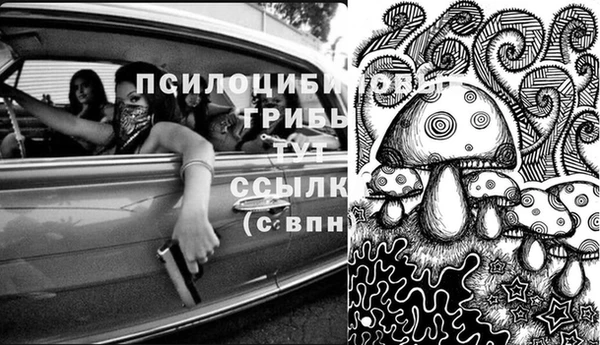 прущие грибы Зеленодольск