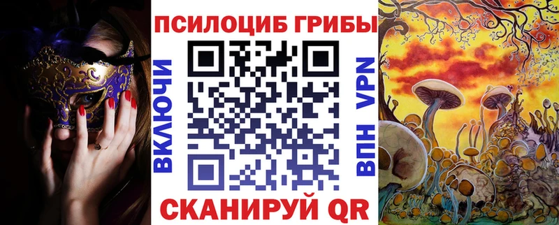 Купить где  Армянск  Галлюциногенные грибы Magic Shrooms 