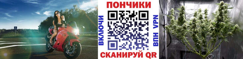 Купить где  Армянск  Марихуана гибрид 